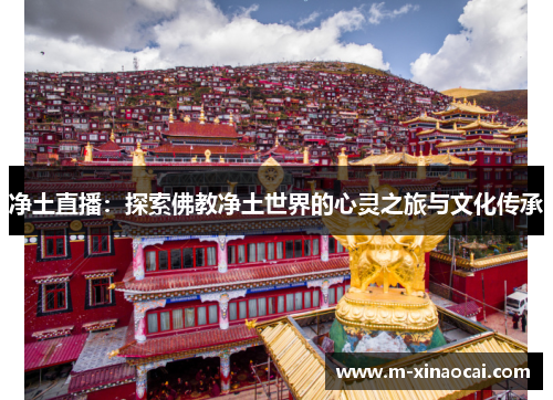 净土直播：探索佛教净土世界的心灵之旅与文化传承