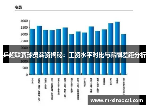 乒超联赛球员薪资揭秘：工资水平对比与薪酬差距分析