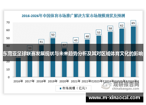 东南亚足球联赛发展现状与未来趋势分析及其对区域体育文化的影响
