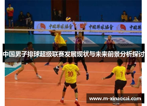 中国男子排球超级联赛发展现状与未来前景分析探讨