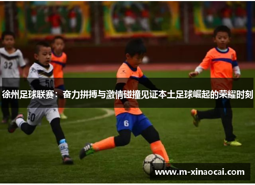 徐州足球联赛：奋力拼搏与激情碰撞见证本土足球崛起的荣耀时刻
